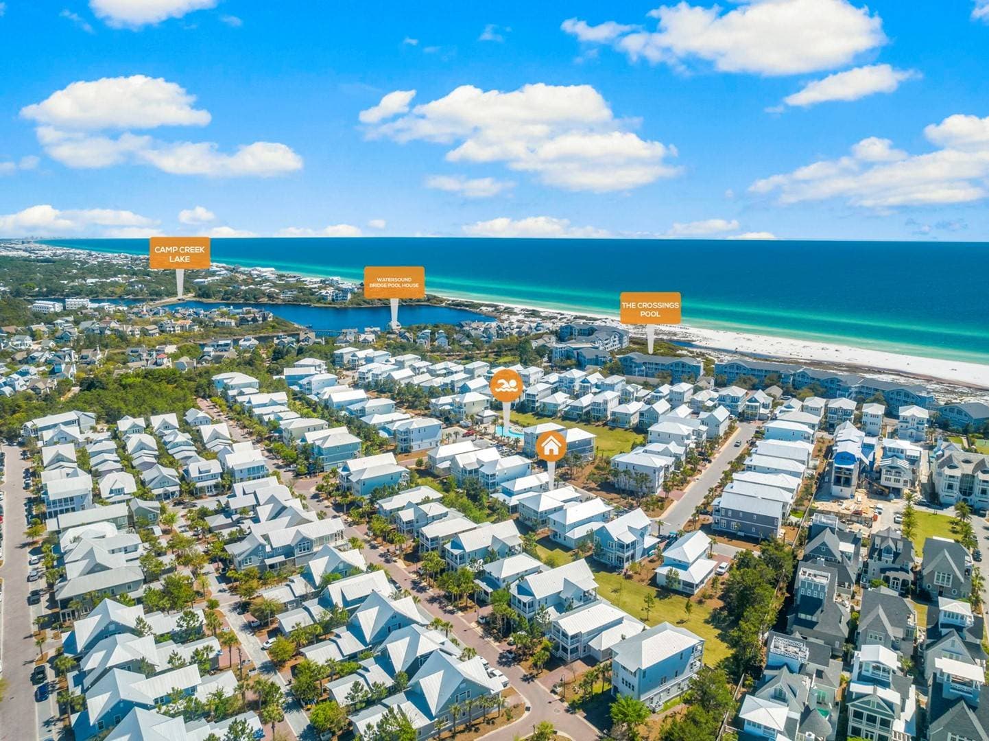 Palm Tree Paradise - Image 58