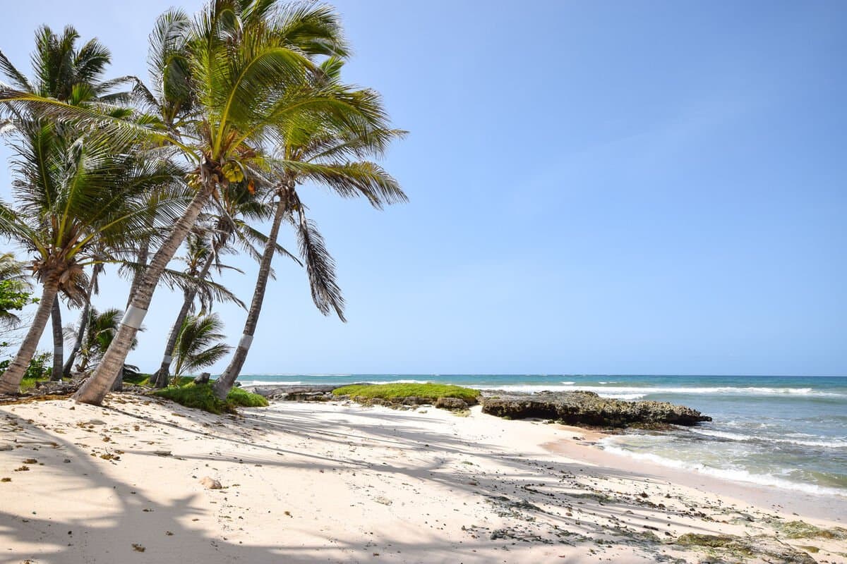 Barclaya Manor - Image 21