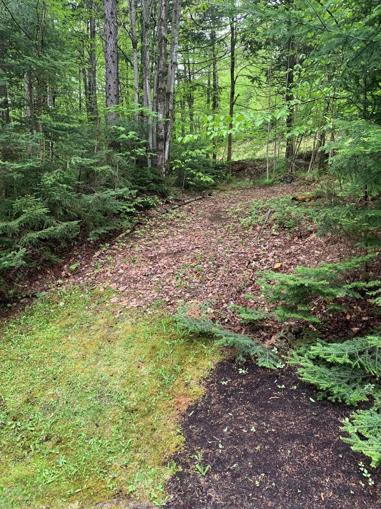 Woods Place - Image 17