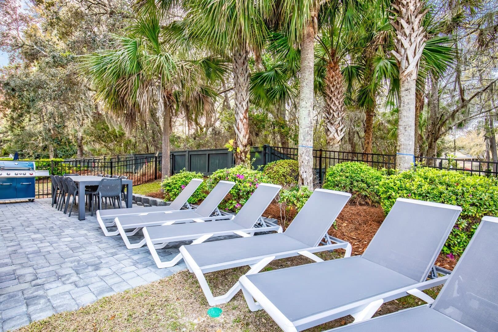 Turtle Tides - Image 57