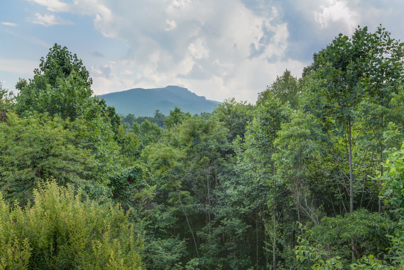 Peace at Echota - Image 35