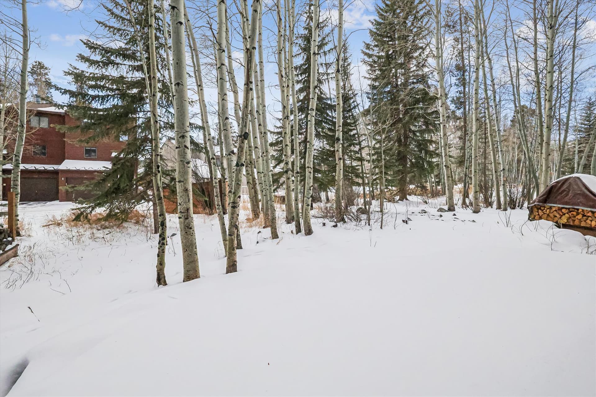 Rivera's Run - Image 40