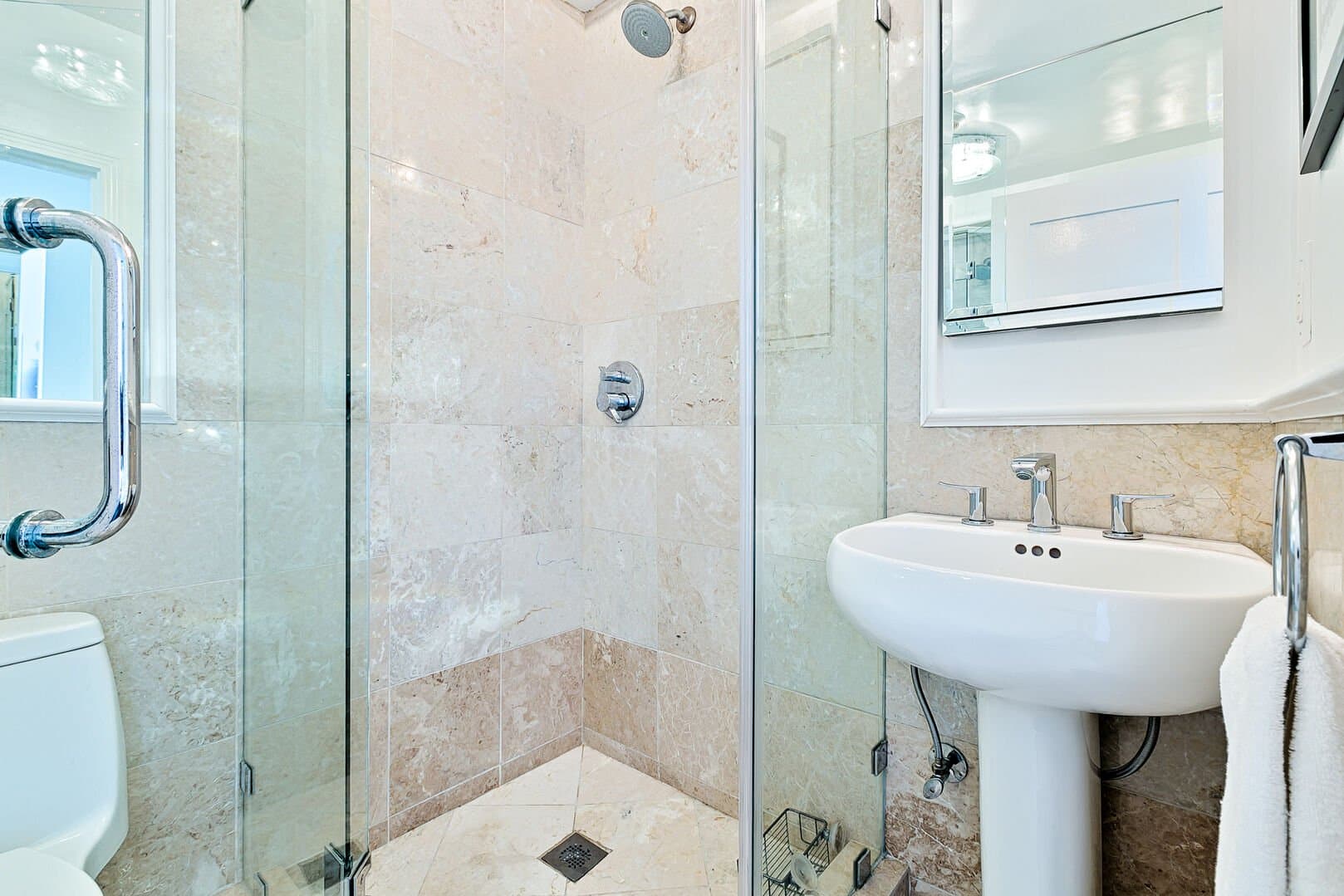 Olive Branch - Image 19