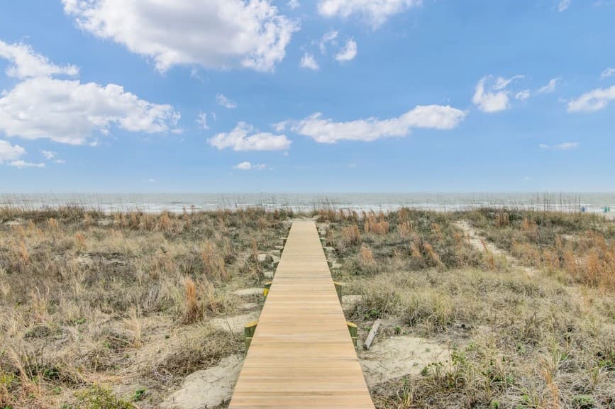 Palm #3108 - Image 15