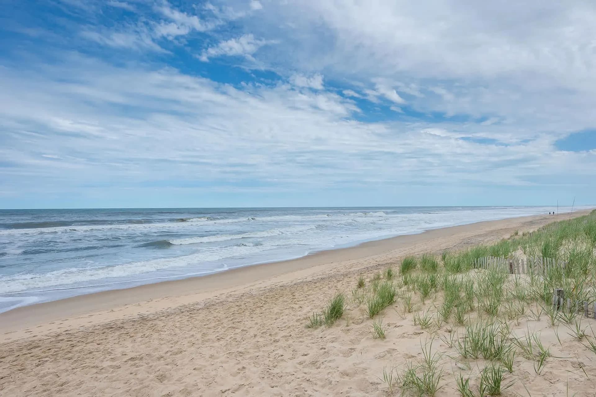 Salt Coast  - Image 71