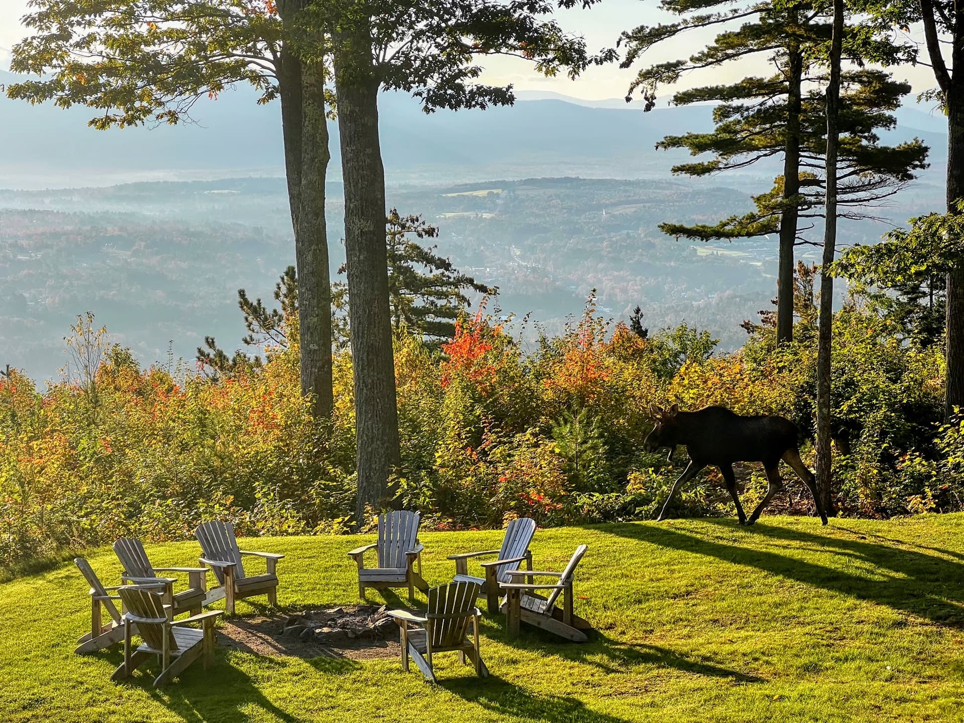 Dalton House - Image 67