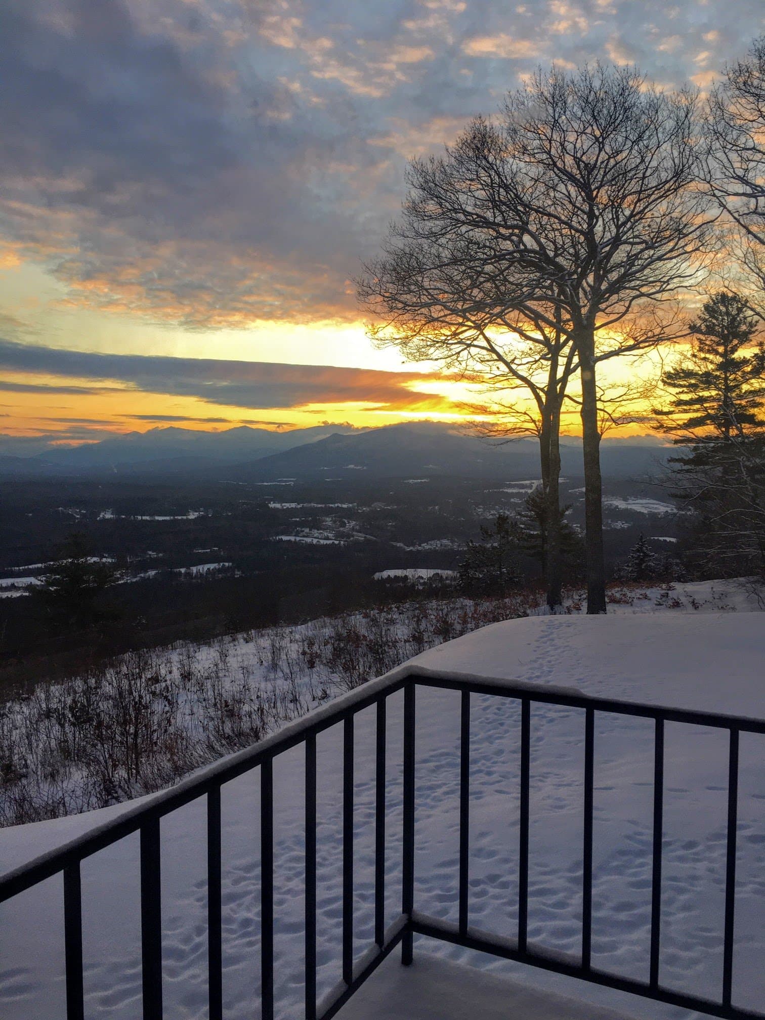 Dalton House - Image 77