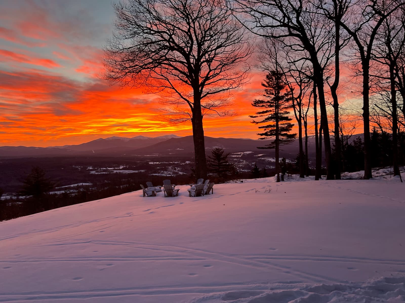 Dalton House - Image 80