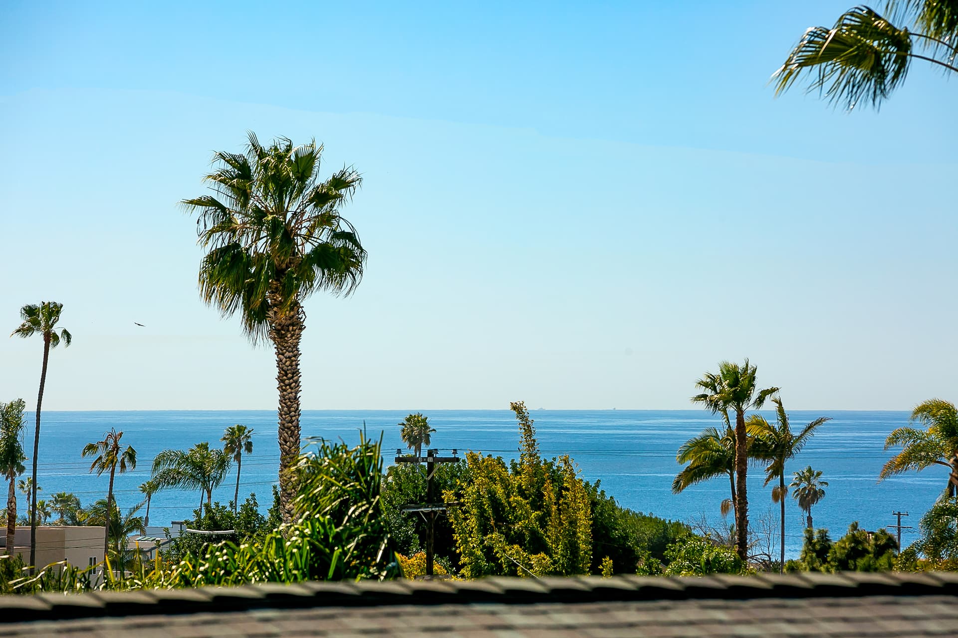 Rooftop Views - Image 43