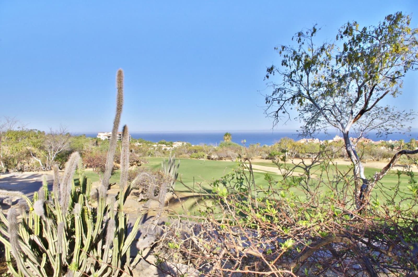 Tortuga Place - Image 62