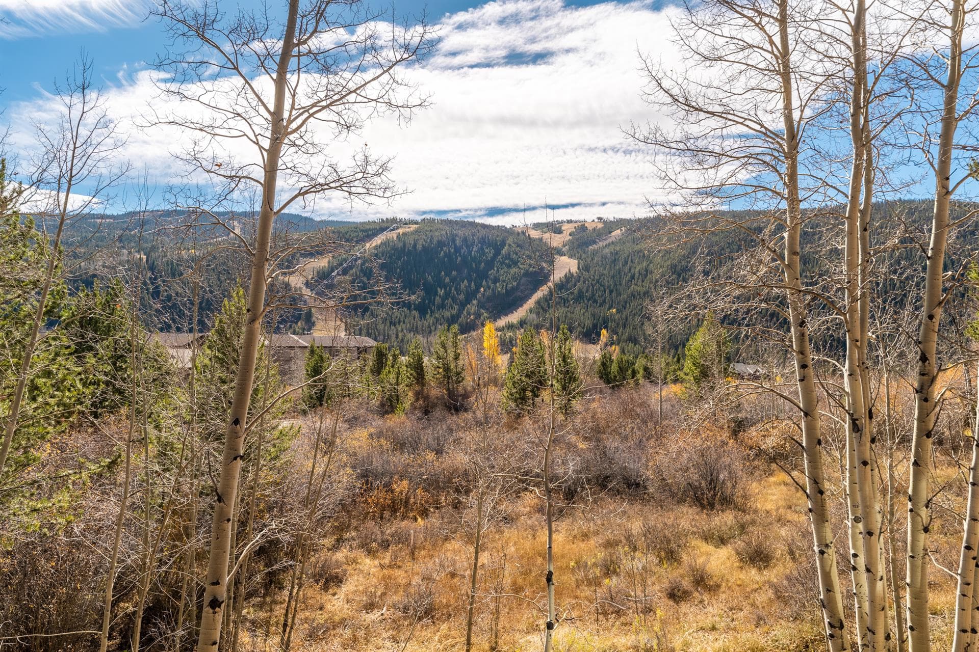 Caravelle Home - Image 10