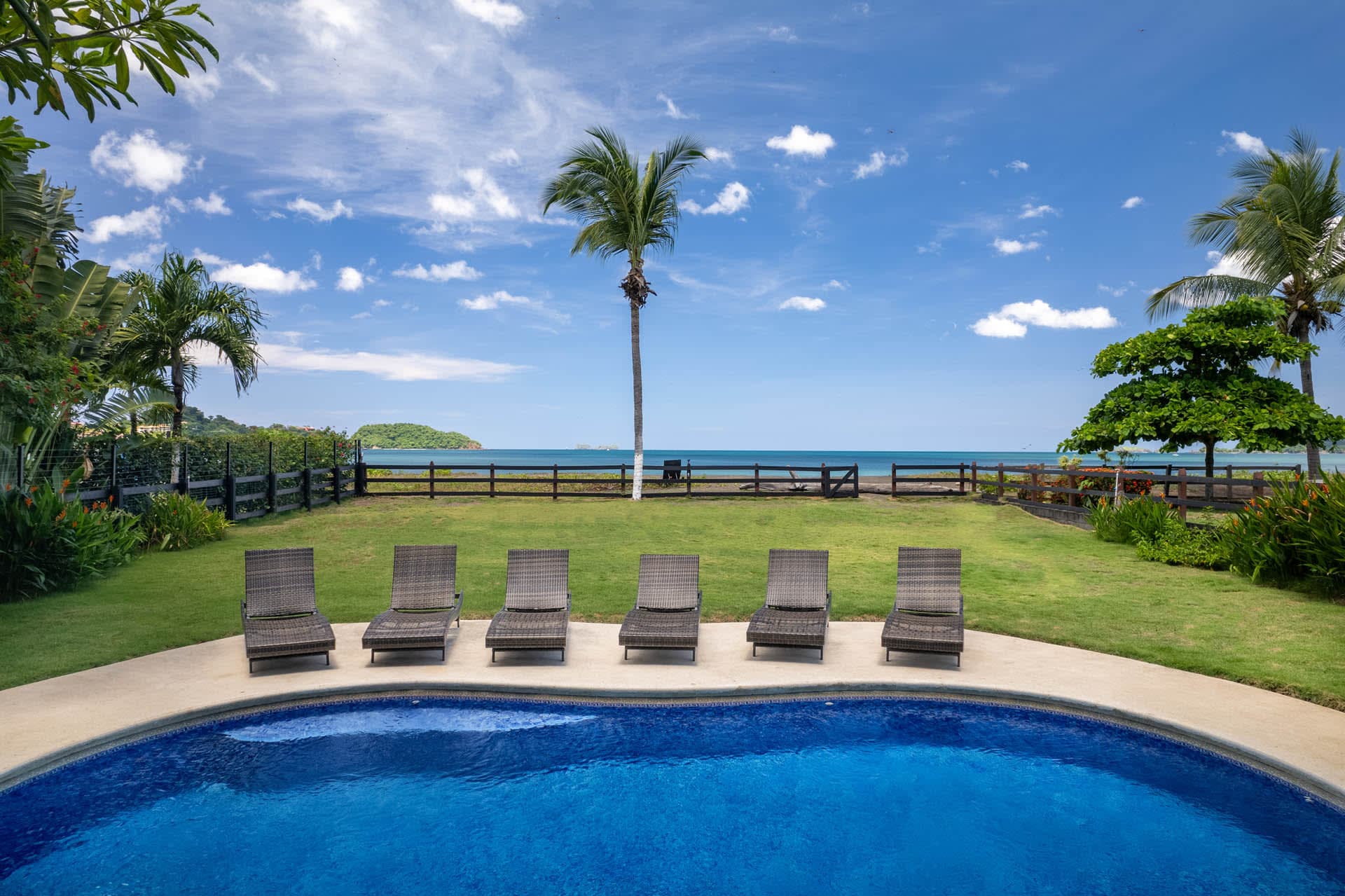 Twin Dolphins - Image 23