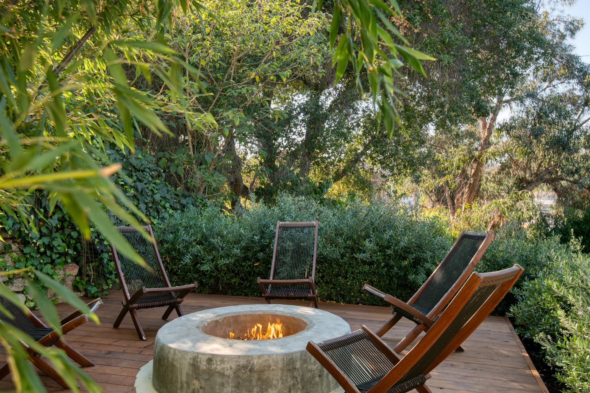 Silver Screen - Image 3