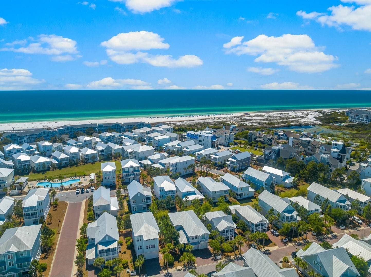 Palm Tree Paradise - Image 54