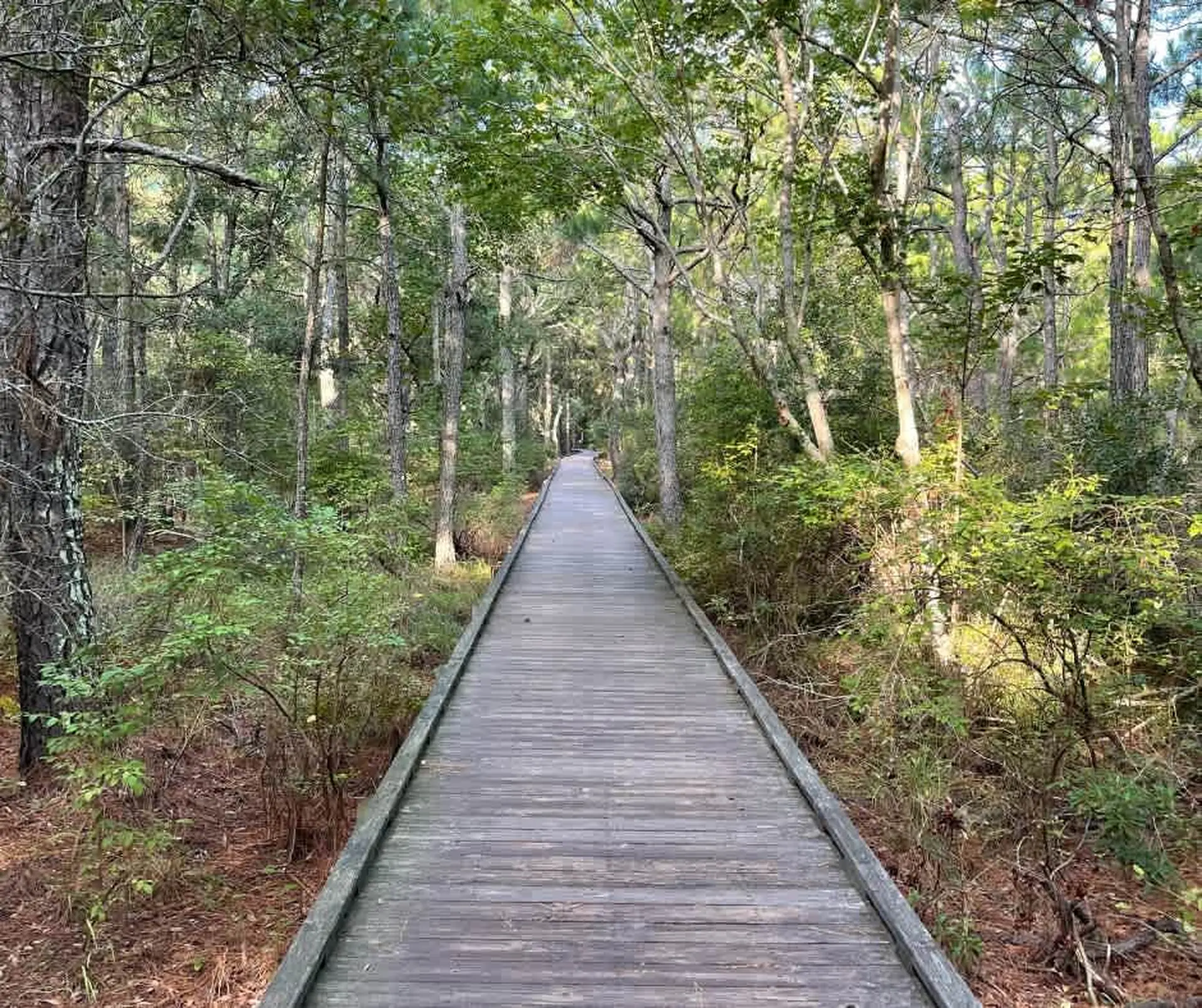 Saltwood Sanctuary - Image 33