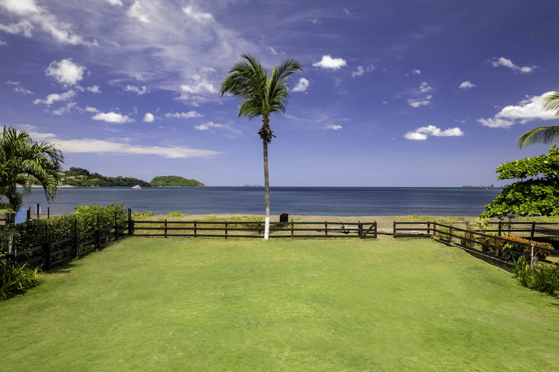 Twin Dolphins - Image 19