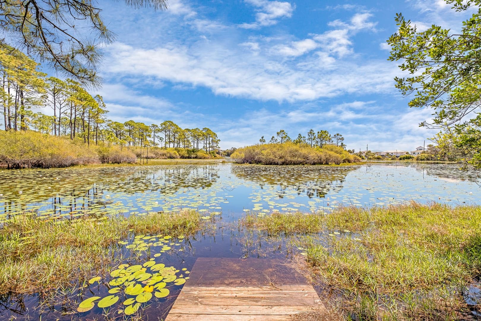 Timeless 30A - Image 33