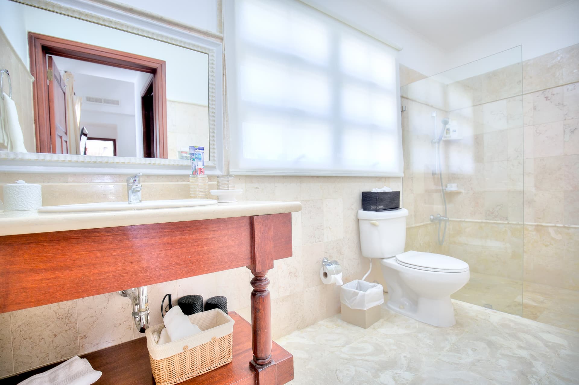 Tortuga Azul - Image 11