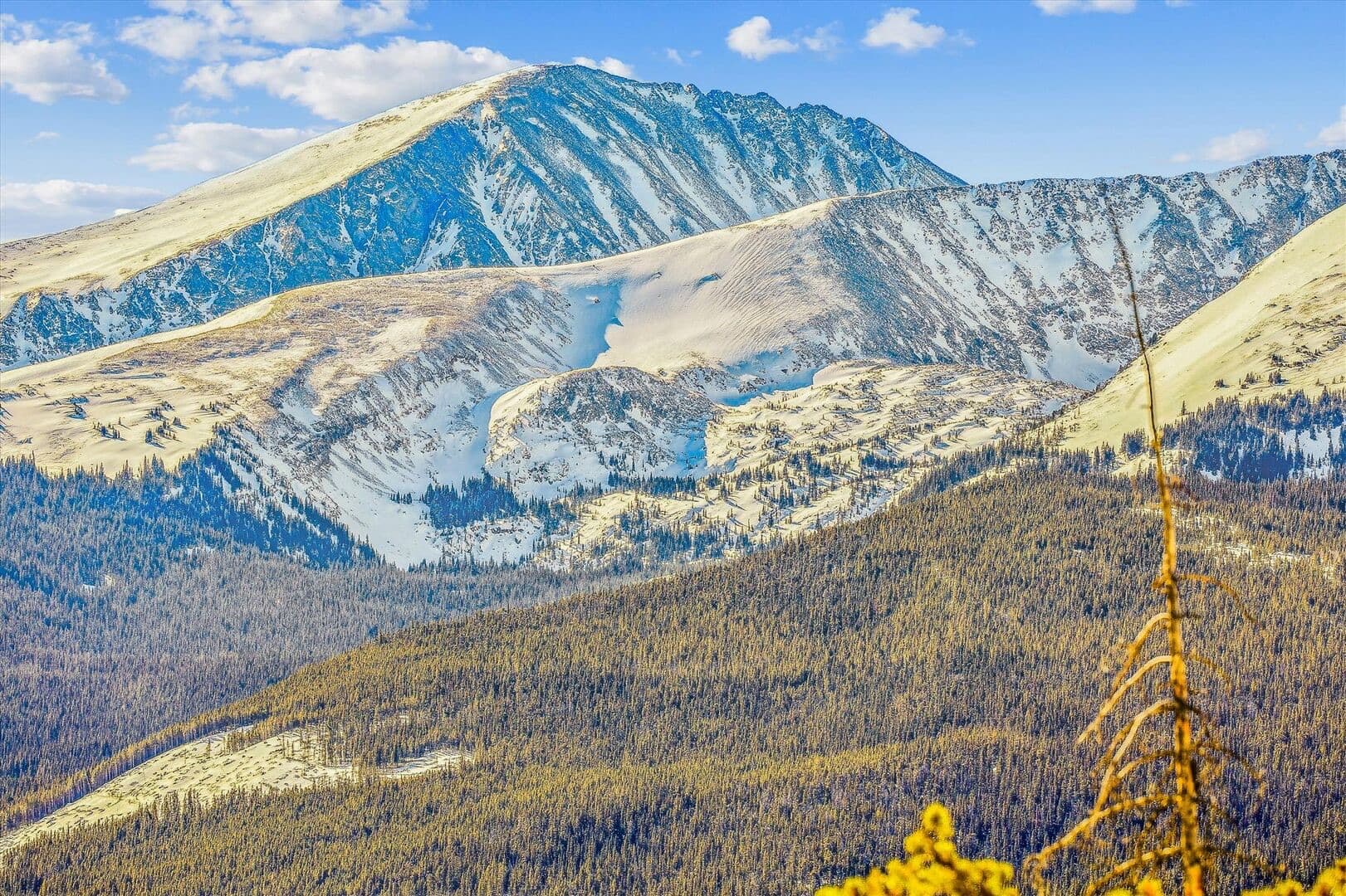 Modern View Manor - Image 57