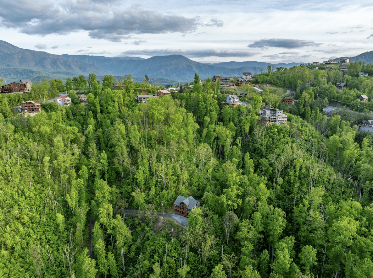 Hollow's Haven - Image 3