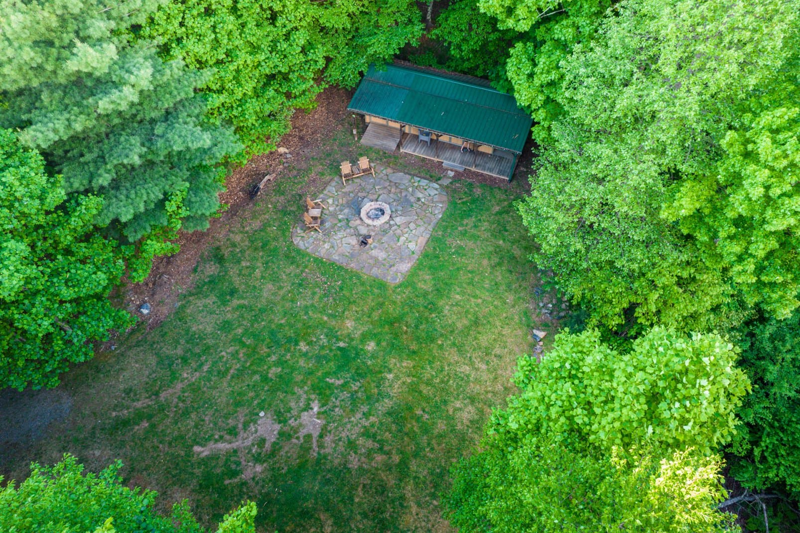 Paws a While - Image 62