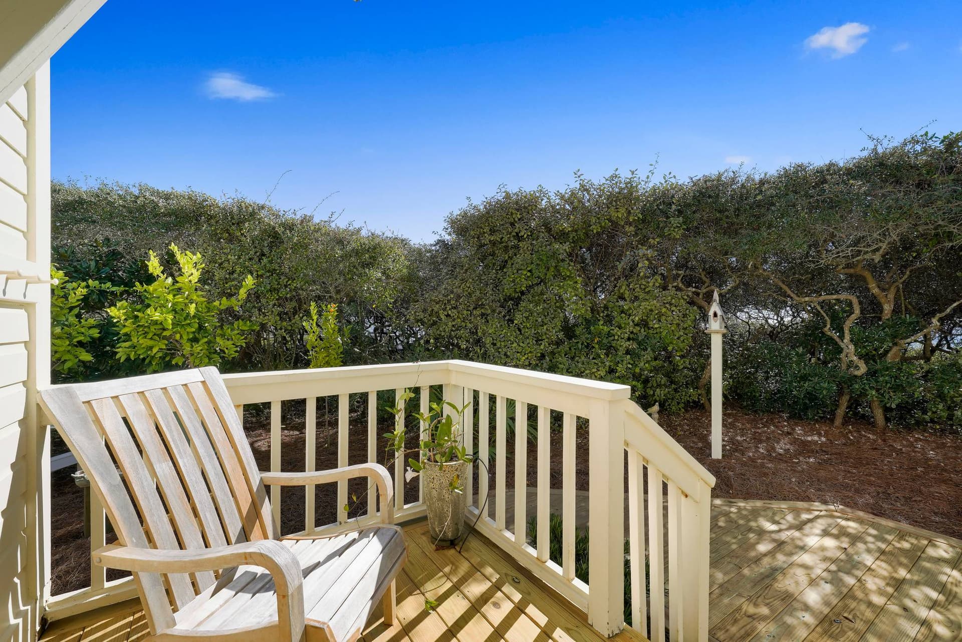 Southern Exposure - Image 21