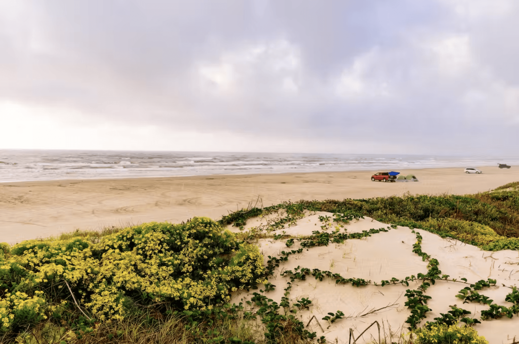 Flip Flop Fanta Sea - Image 30