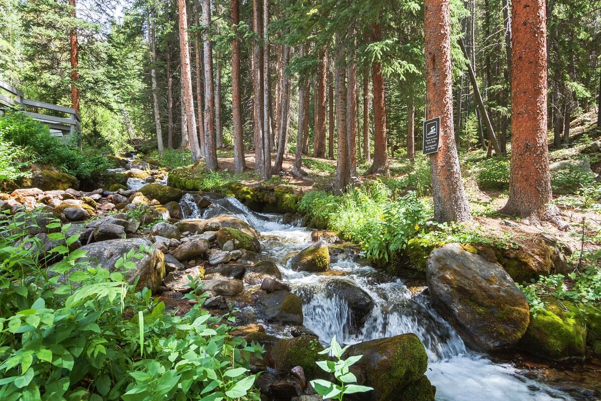 Creekside Chateau - Image 66