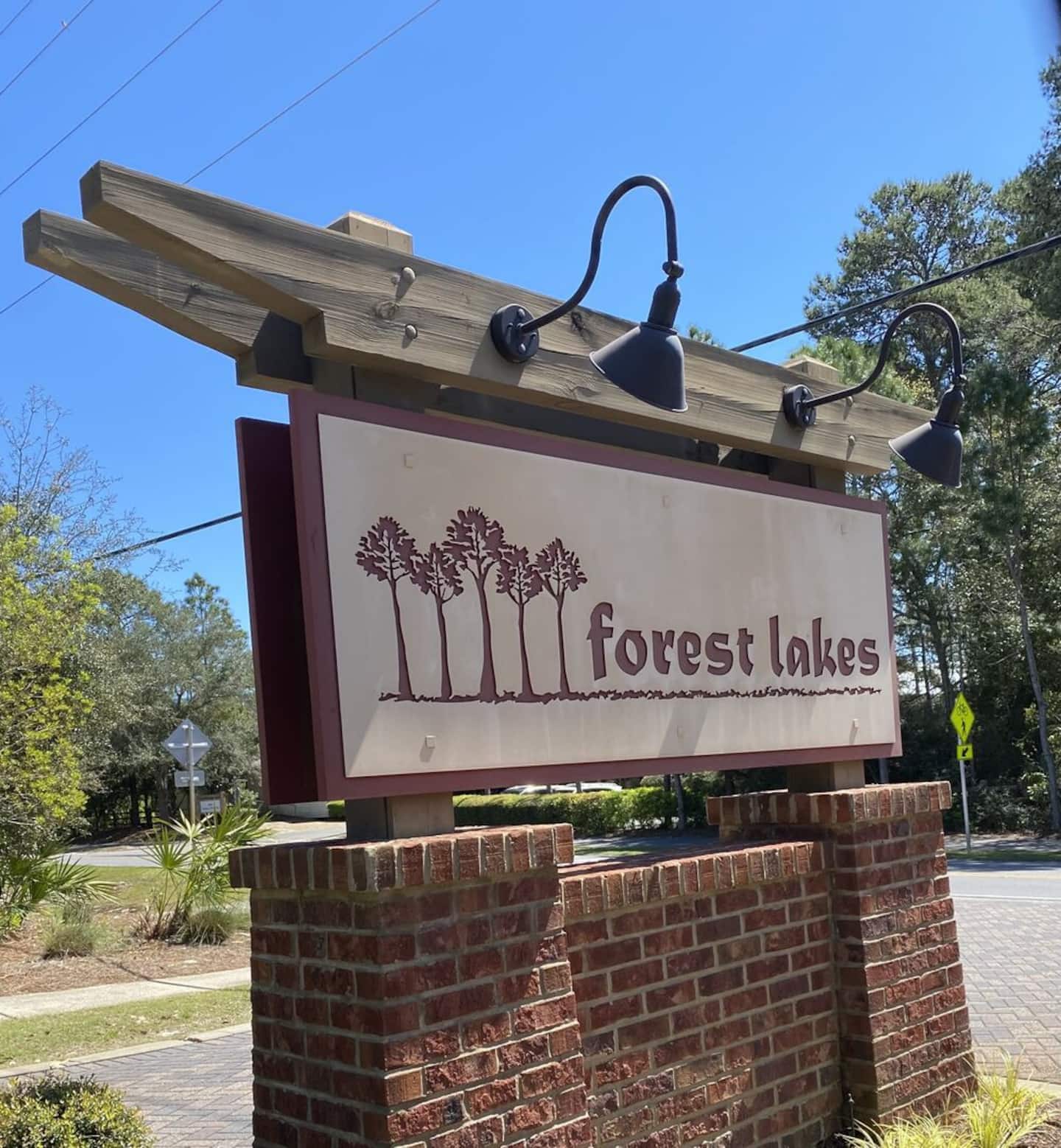 Longleaf Pines - Image 42