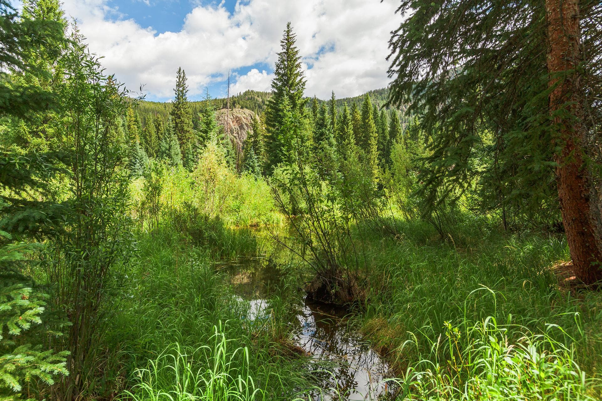 Independence Lodge - Image 43