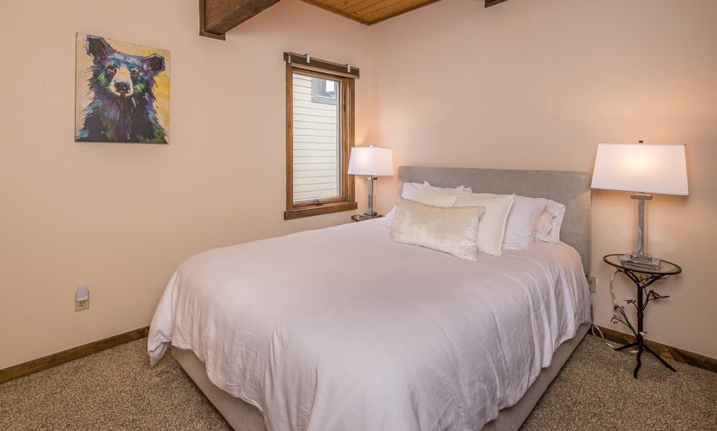 Telemark #302 - Image 18