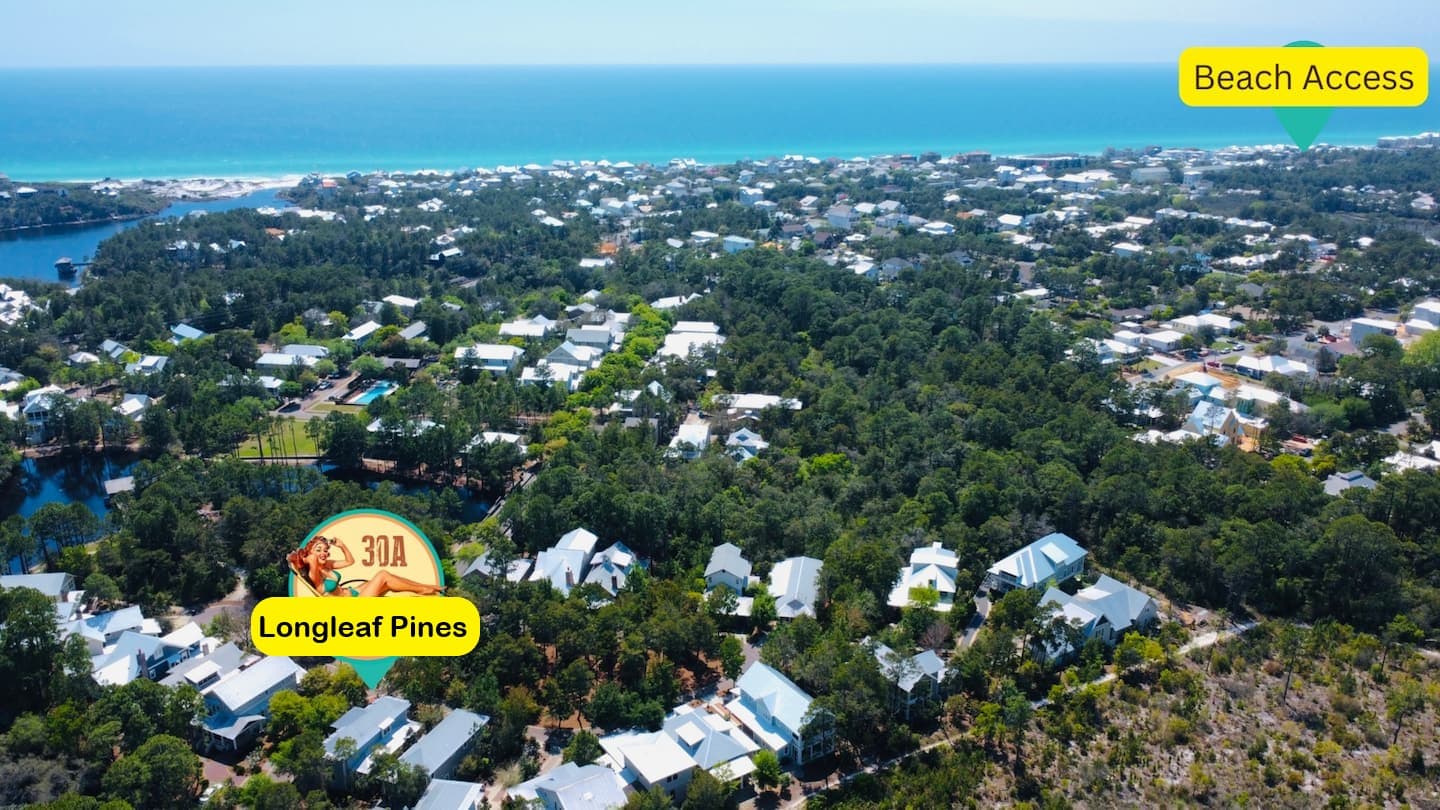 Longleaf Pines - Image 2