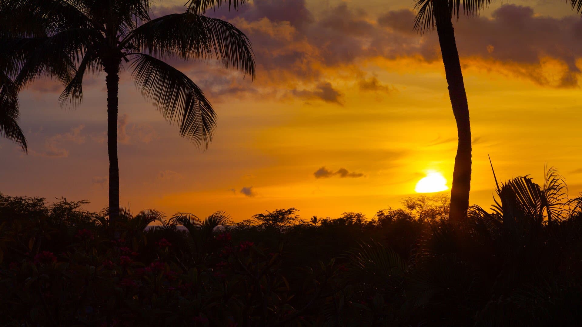 Sea to Sky - Image 45