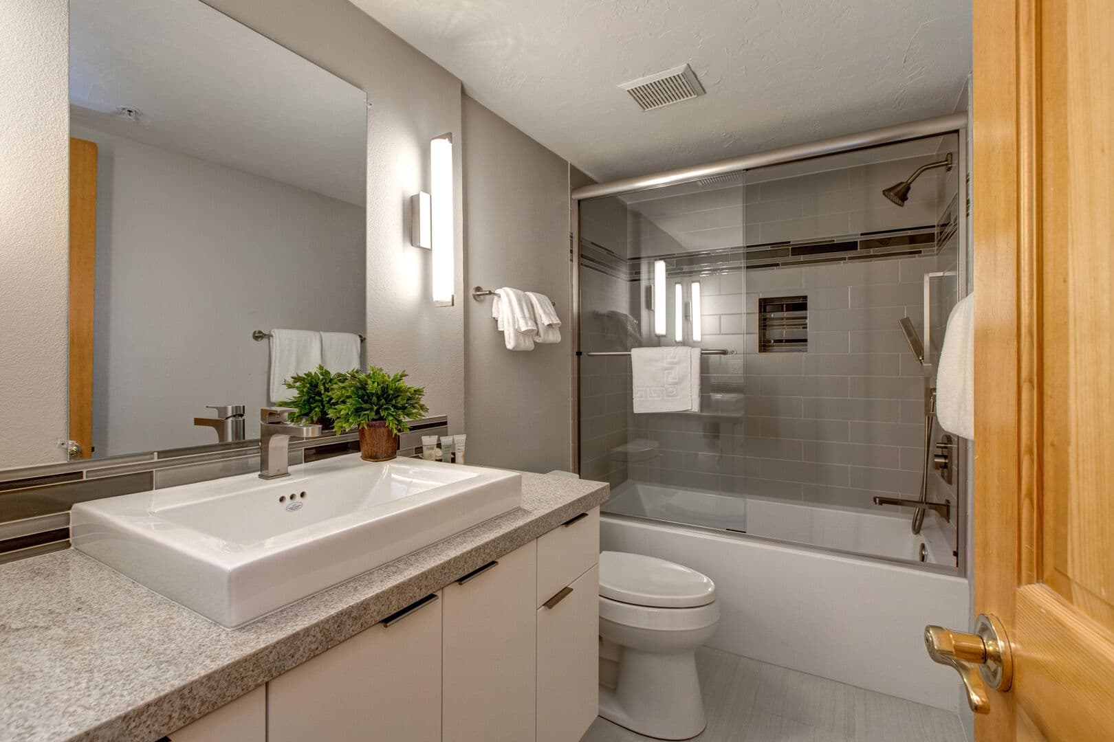 Black Bear 431 - Image 20