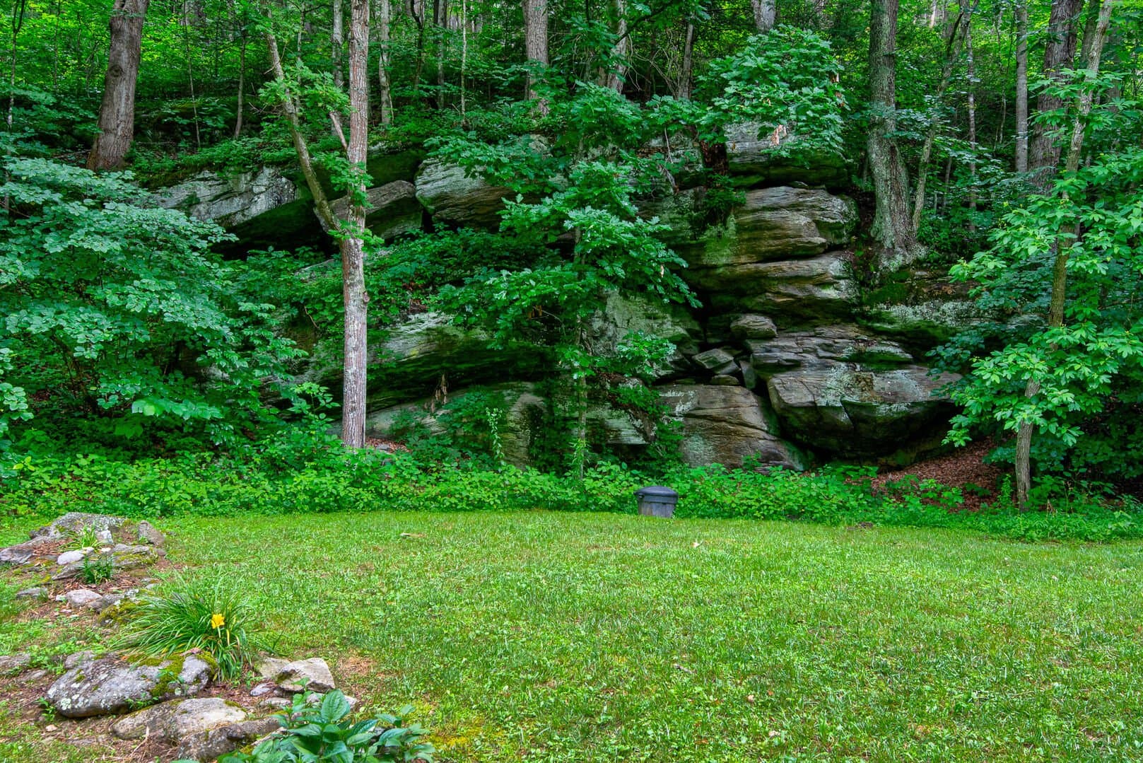 Beech Creek Cabin - Image 38