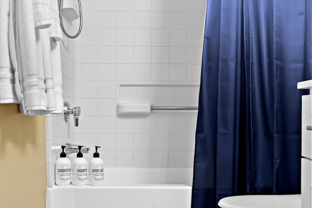 Sahuaro Suite - Image 5