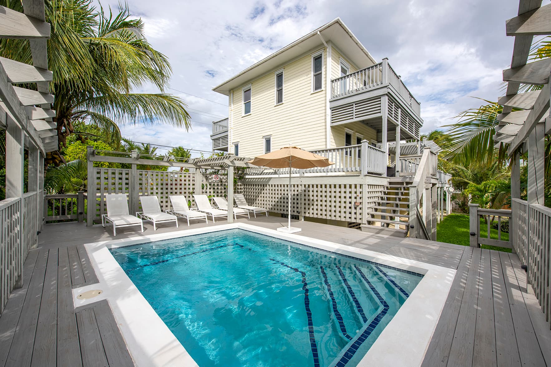 Salty Dolphin - Image 4