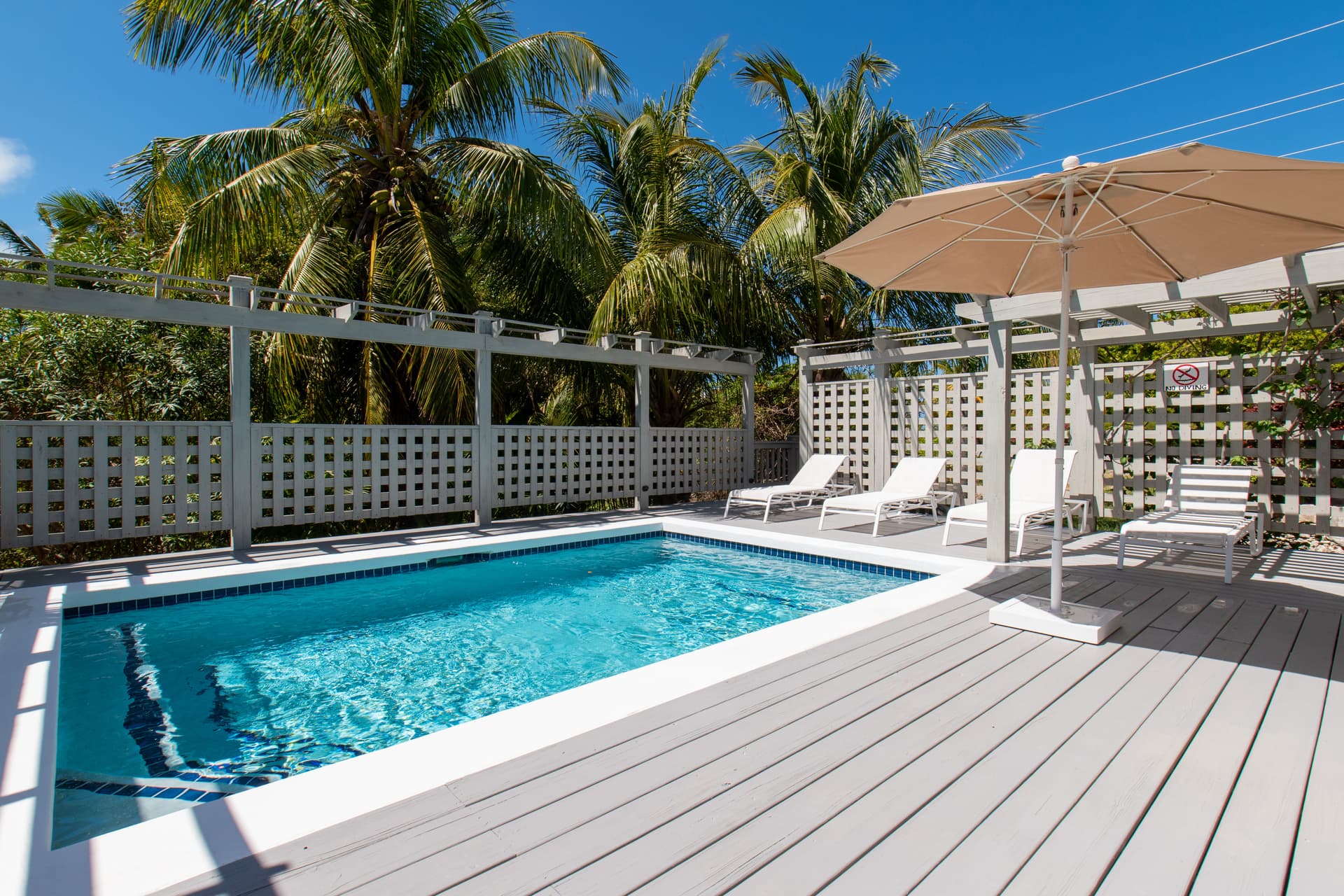 Salty Dolphin - Image 5