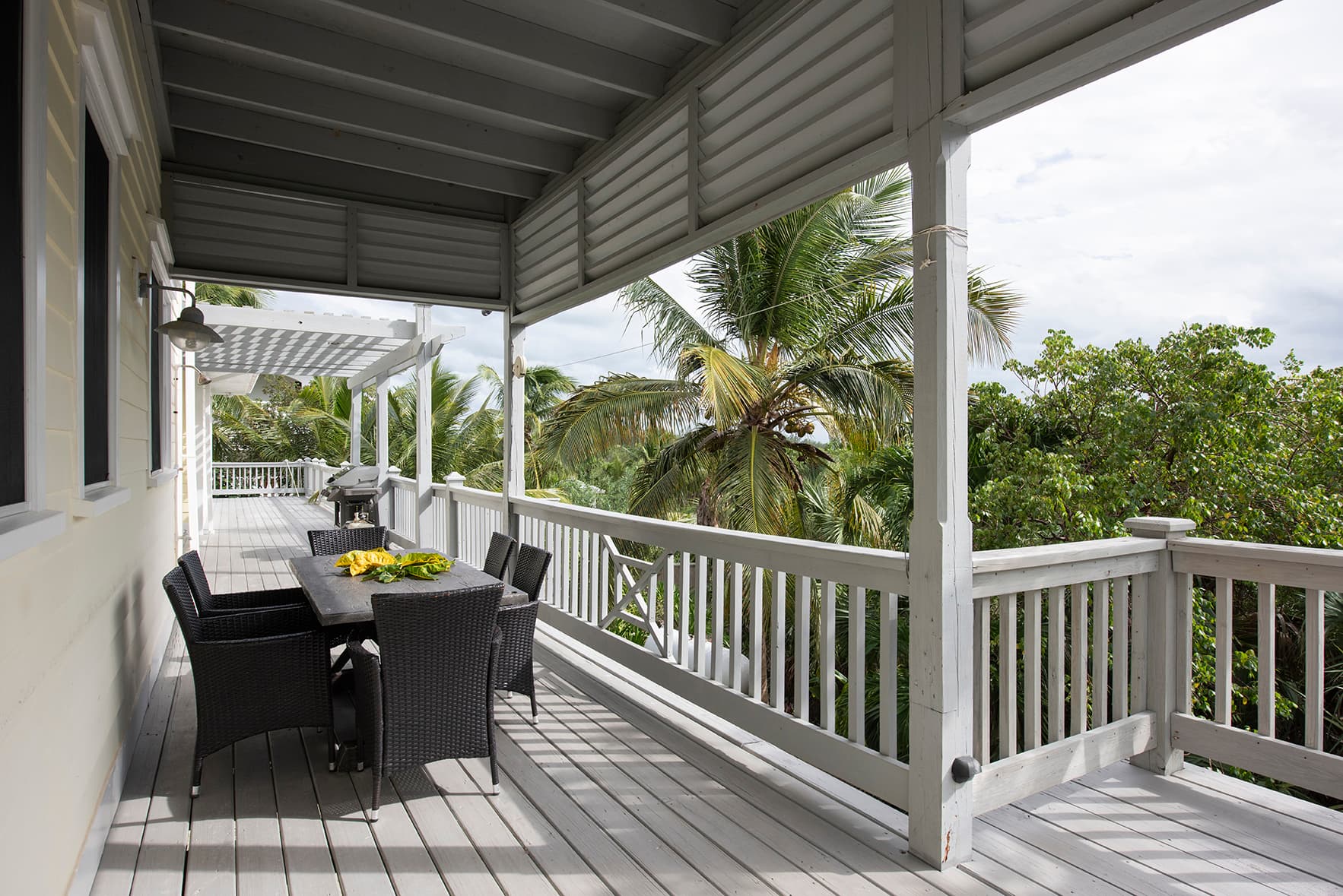 Salty Dolphin - Image 5