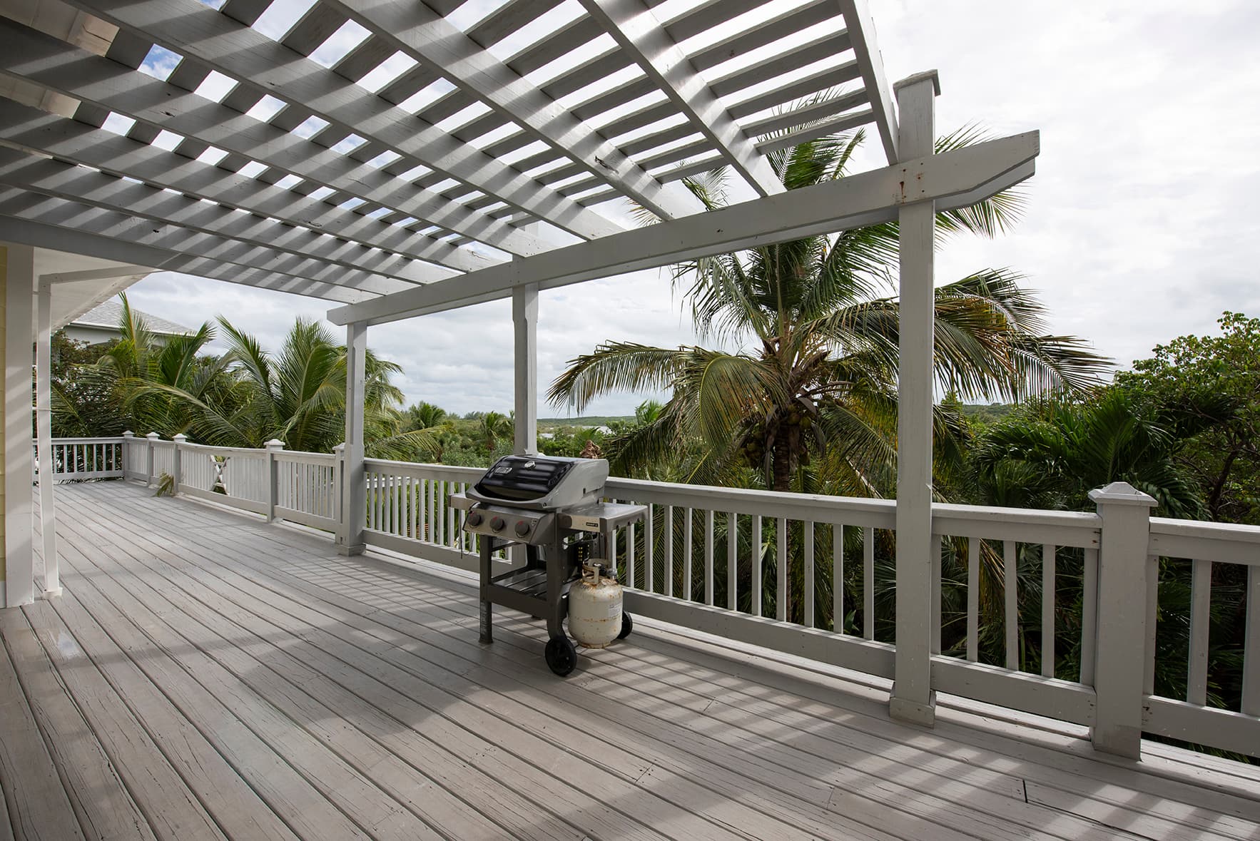 Salty Dolphin - Image 8