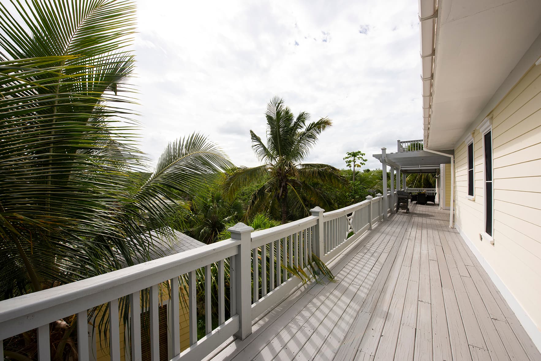 Salty Dolphin - Image 9