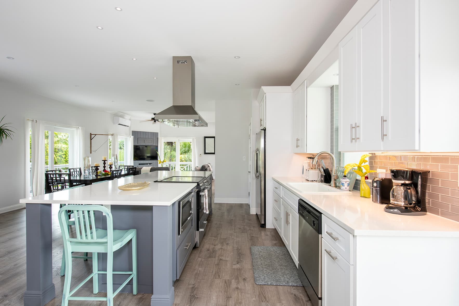 Salty Dolphin - Image 3