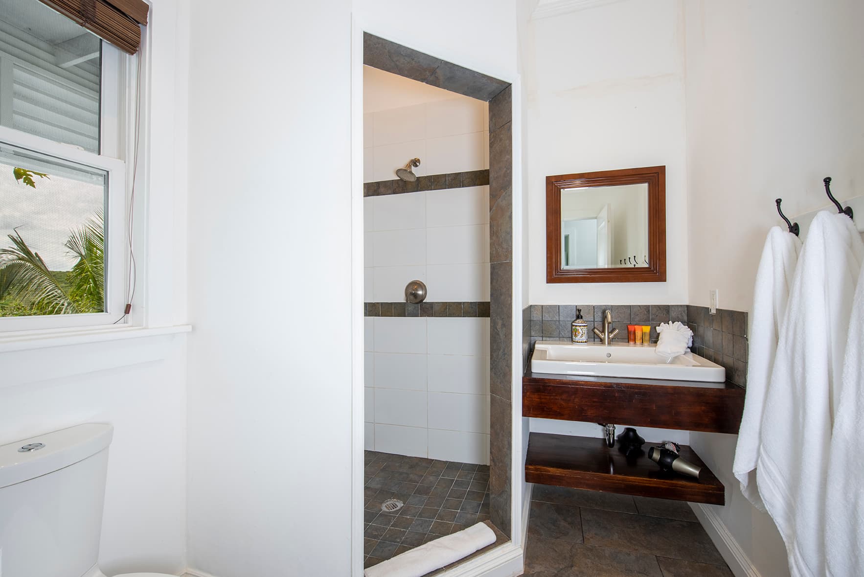 Salty Dolphin - Image 21