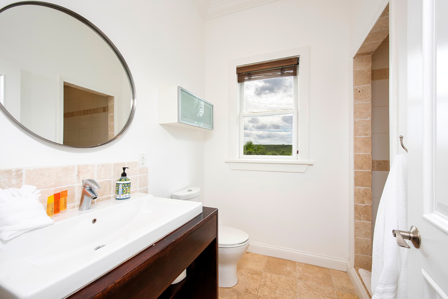 Salty Dolphin - Image 23