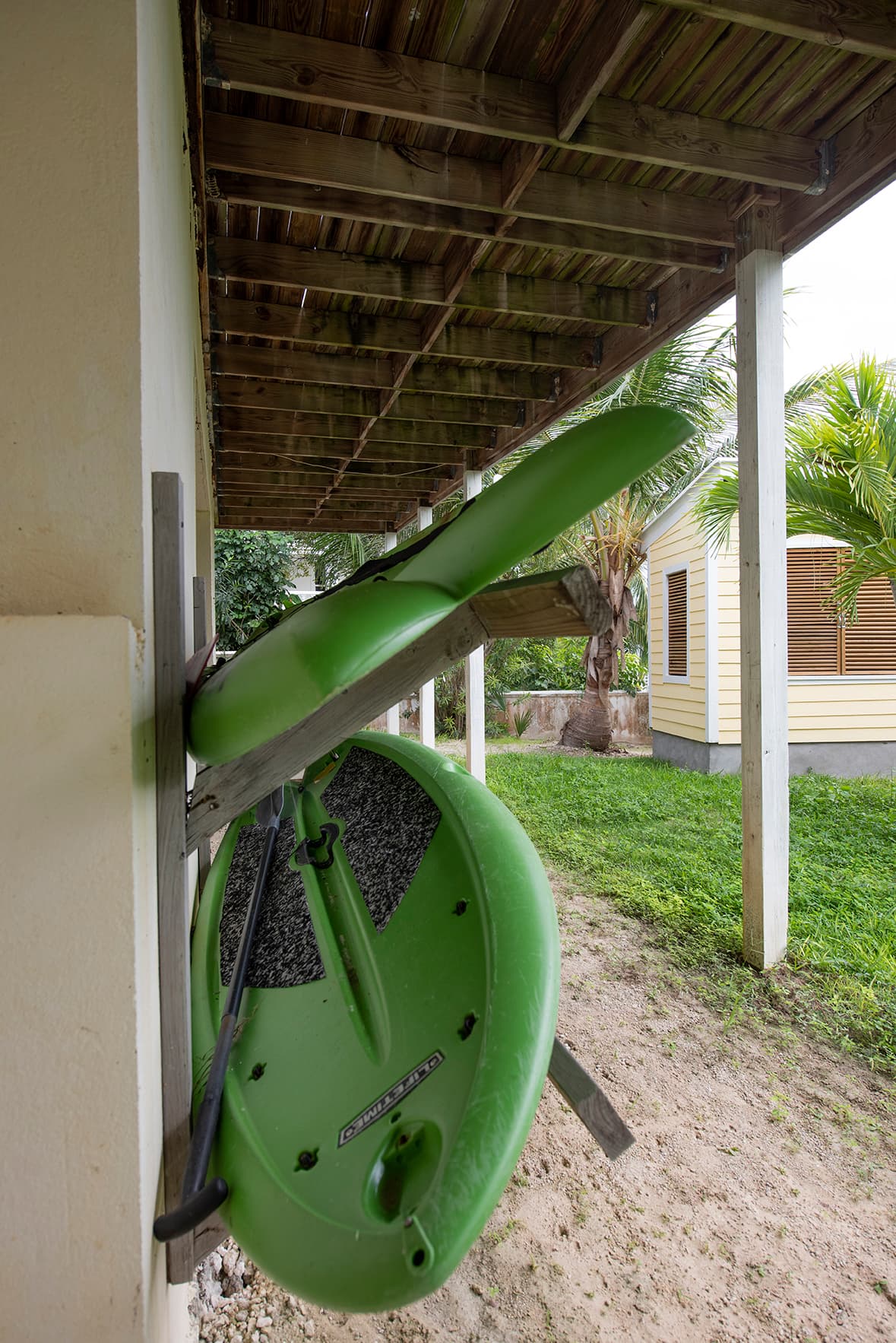 Salty Dolphin - Image 28