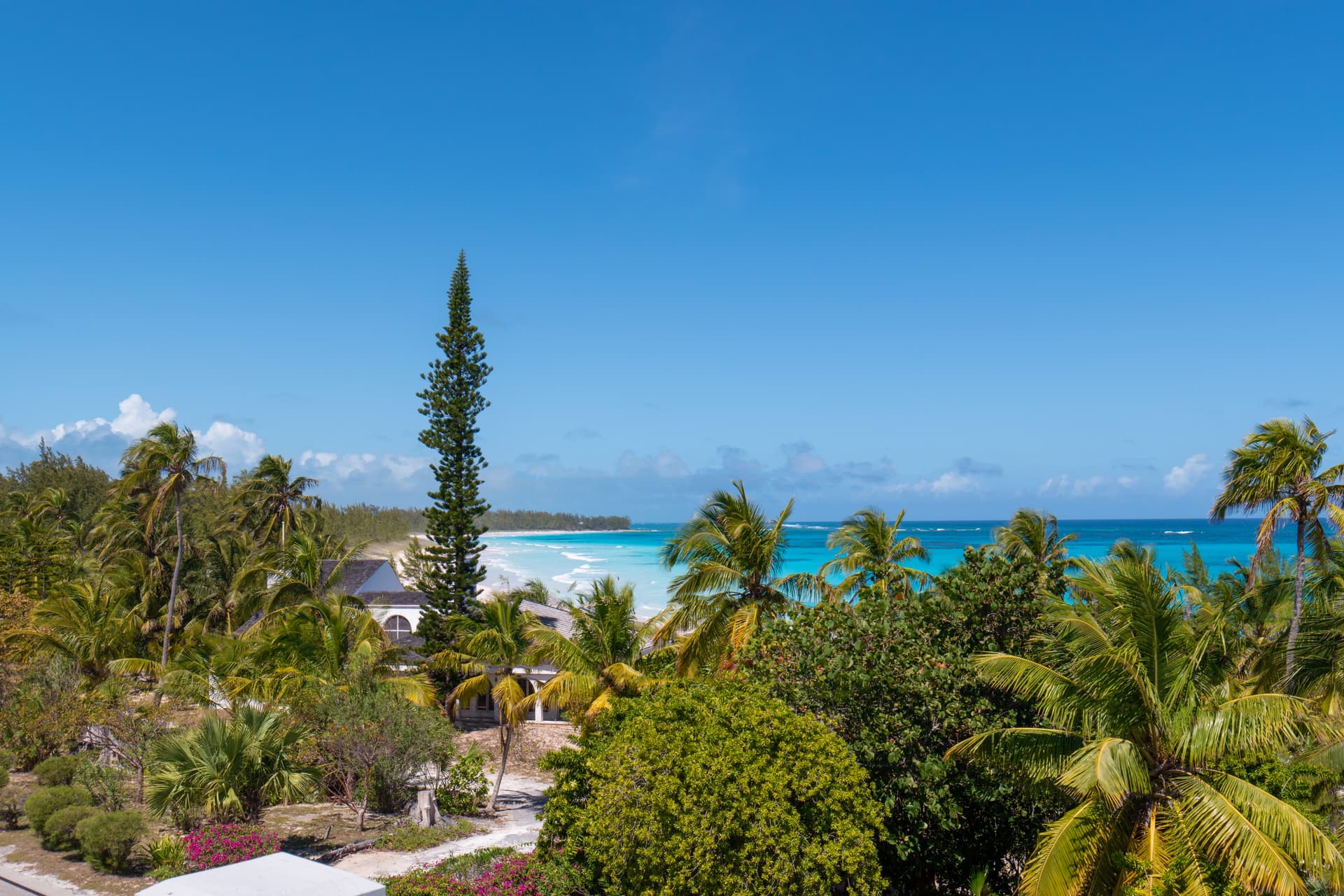 Salty Dolphin - Image 29