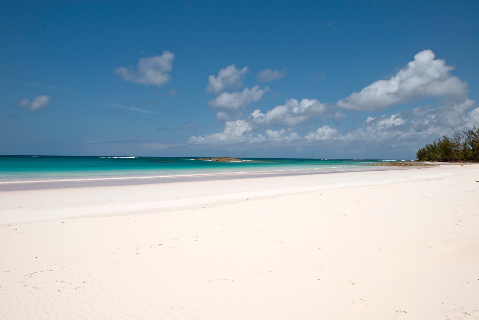 Salty Dolphin - Image 30