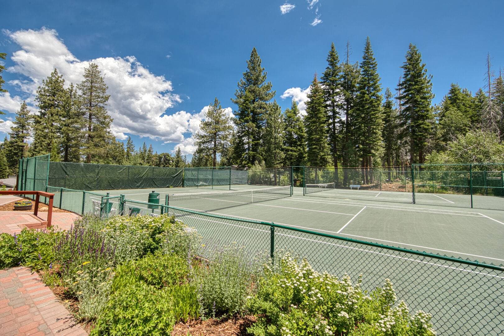 Sleeping Bear Lodge - Image 27