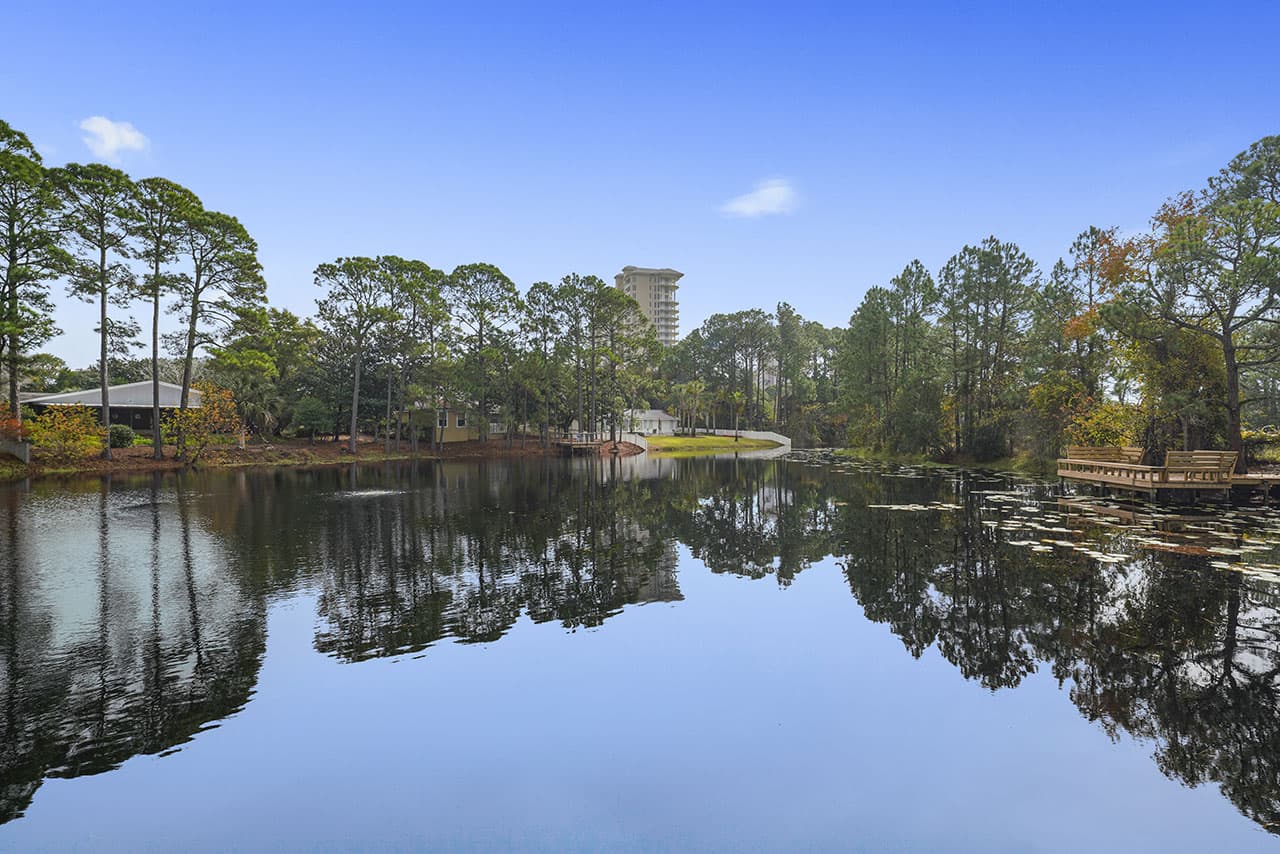 Sea-Renity - Image 34