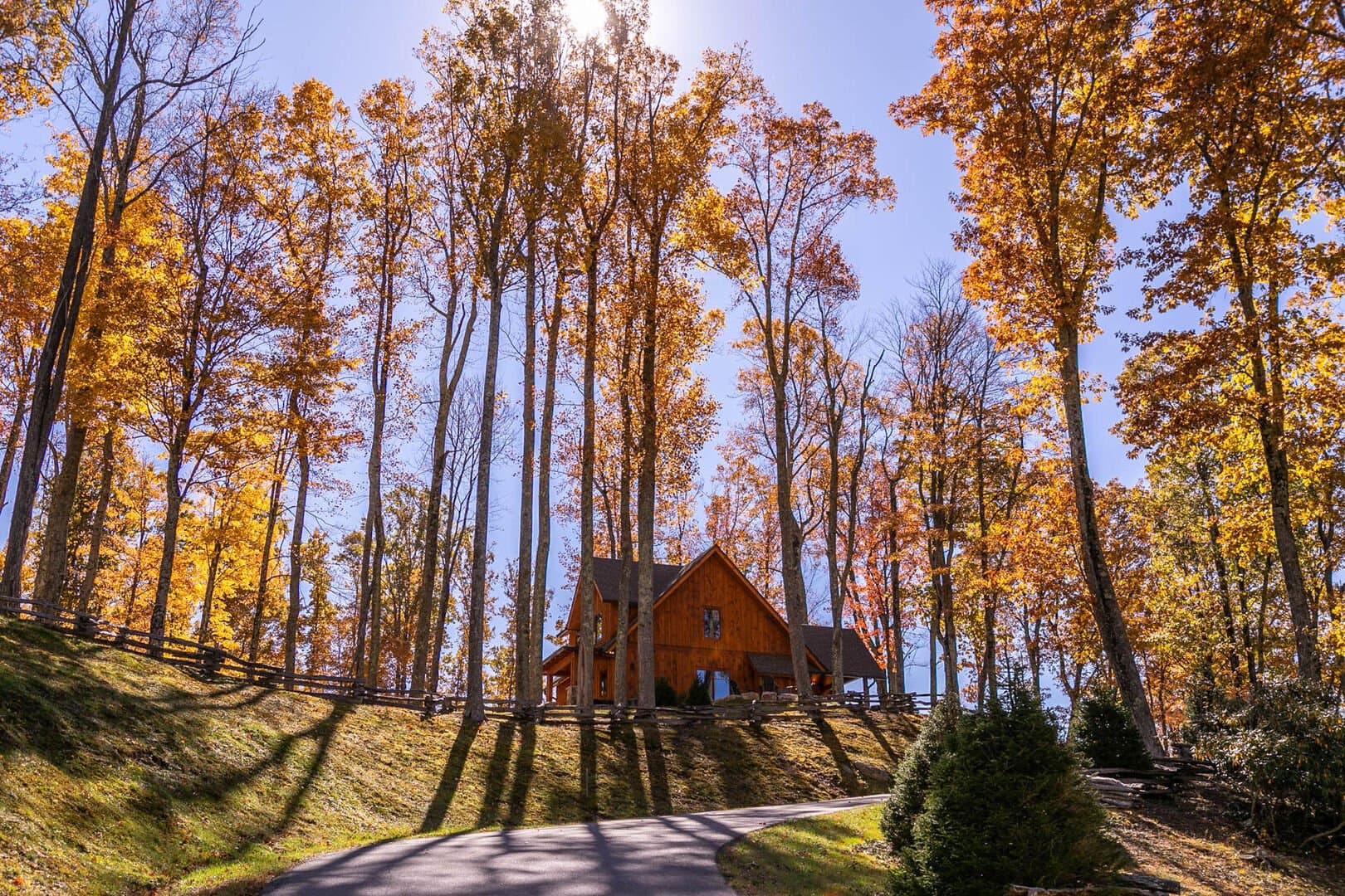 Teddy Bear's Retreat - Image 30